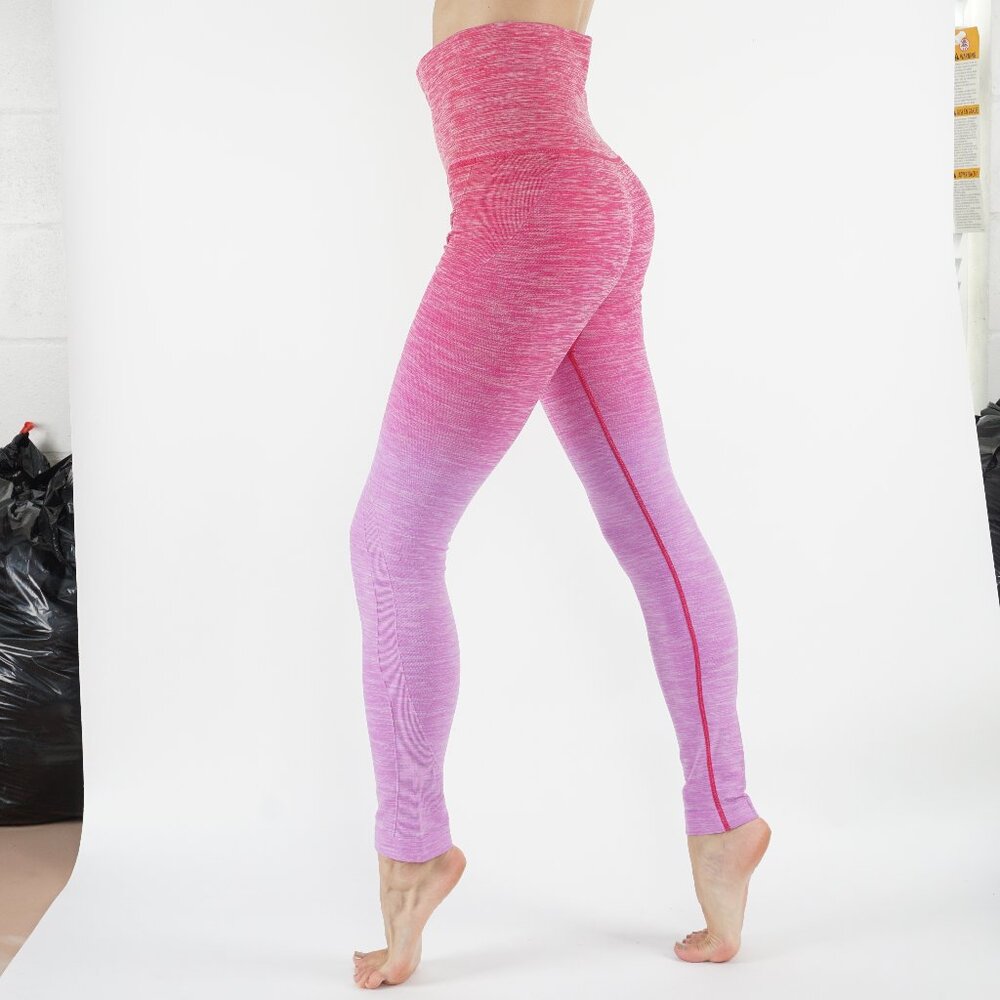 NWT Seamless High Waist Yoga Dry-Fit Ombre compression Leggings Tummy support